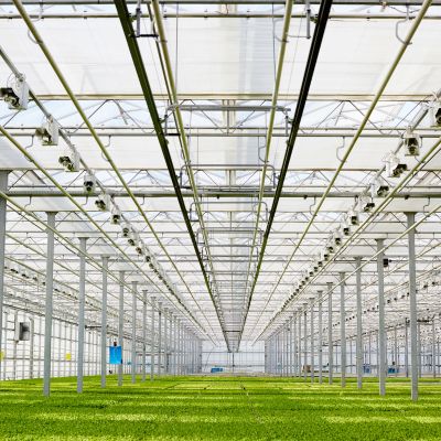 Агробізнес